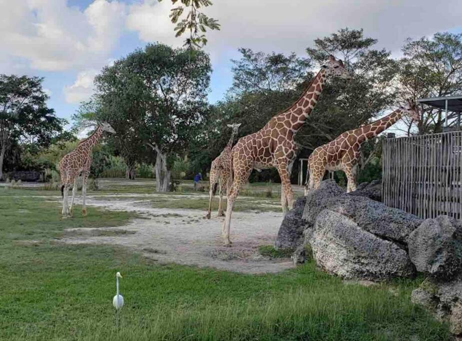 Amazing & Cozy Duplex Near Zoo Miami ! Villa Exterior photo